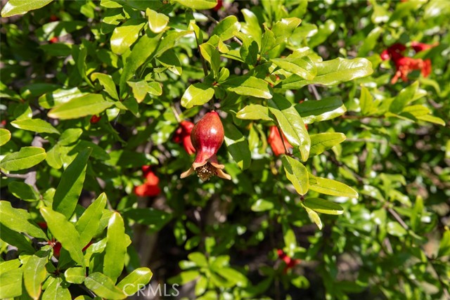 Detail Gallery Image 57 of 57 For 7106 Teesdale Ave, North Hollywood,  CA 91605 - 3 Beds | 2 Baths