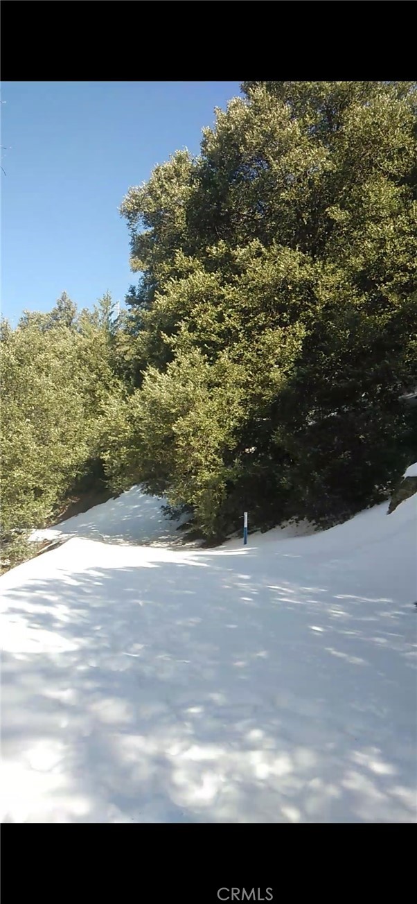 0 Saxon, Crestline CA: https://media.crmls.org/medias/59317987-57f9-499c-8e15-fda6ffd95ba9.jpg