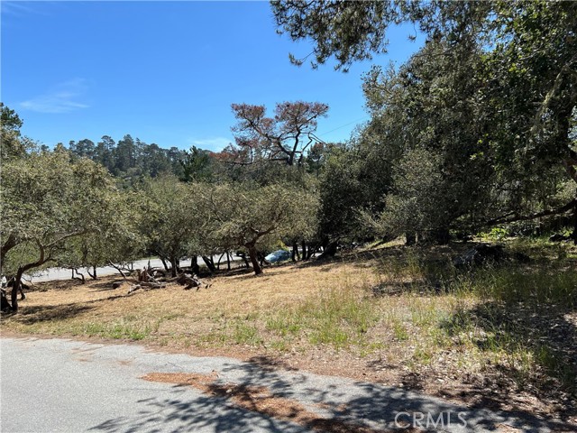 Front Image Thumbnail for CRSC26104468