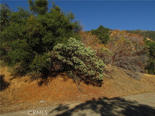 Detail Gallery Image 1 of 54 For 2 Ac Old Oaks Ct, North Fork,  CA 93643 - – Beds | – Baths