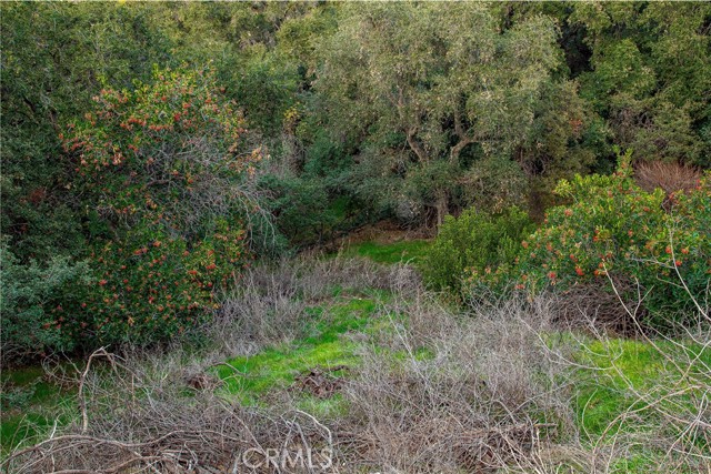1 Bayberry Drive photo 8