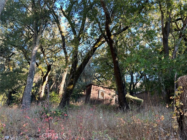 Detail Gallery Image 7 of 30 For 0 Shadow Canyon Rd, Templeton,  CA 93465 - – Beds | – Baths