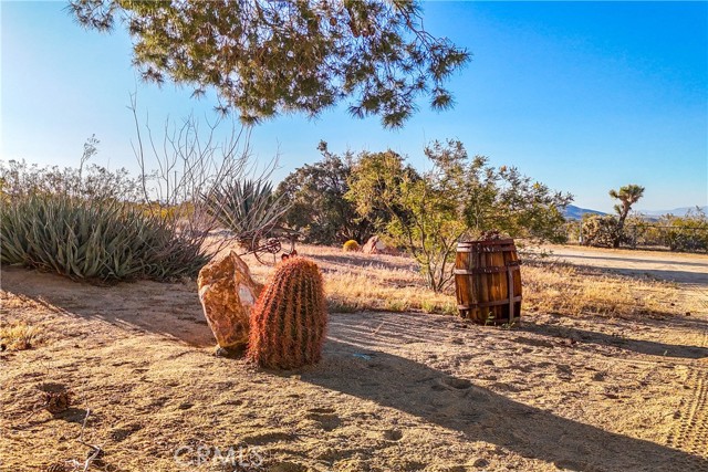Detail Gallery Image 3 of 55 For 8173 Fleur Dr, Joshua Tree,  CA 92252 - 2 Beds | 3 Baths