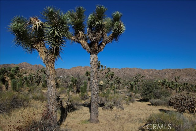 7000 Kickapoo Trail, Yucca Valley, California 92284, ,Land,For Sale,7000 Kickapoo Trail,CRJT23196691