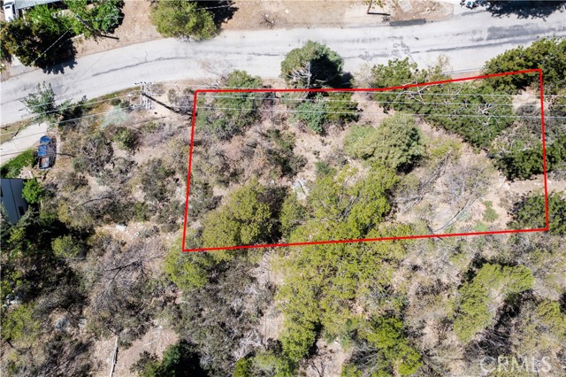 6011 Mountain Home Creek Road, Angelus Oaks, California 92305, ,Land,For Sale,6011 Mountain Home Creek Road,CREV23173509