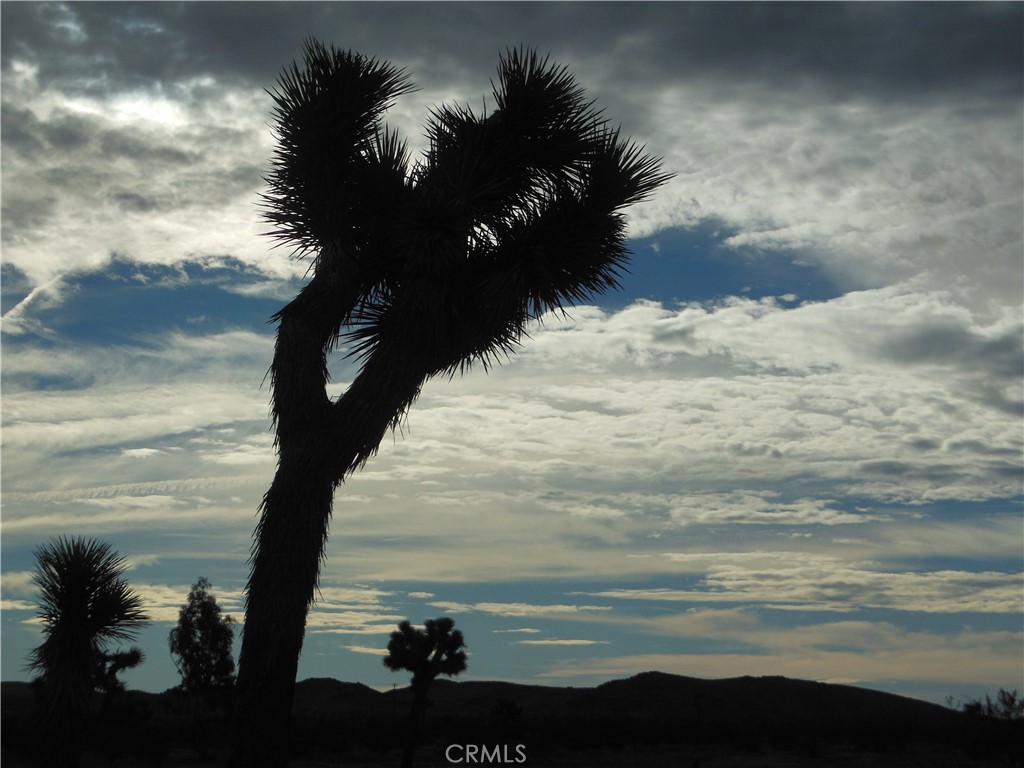 MLS #OC25206622 image #3