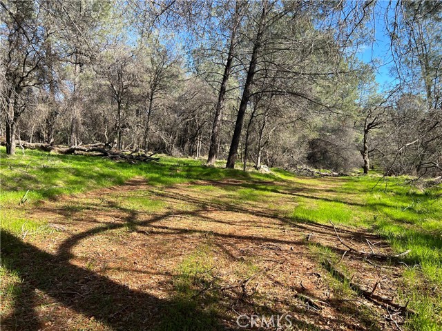 0 Highlands Boulevard, Oroville, California 95965, ,Land,For Sale,0 Highlands Boulevard,CRSN23181045