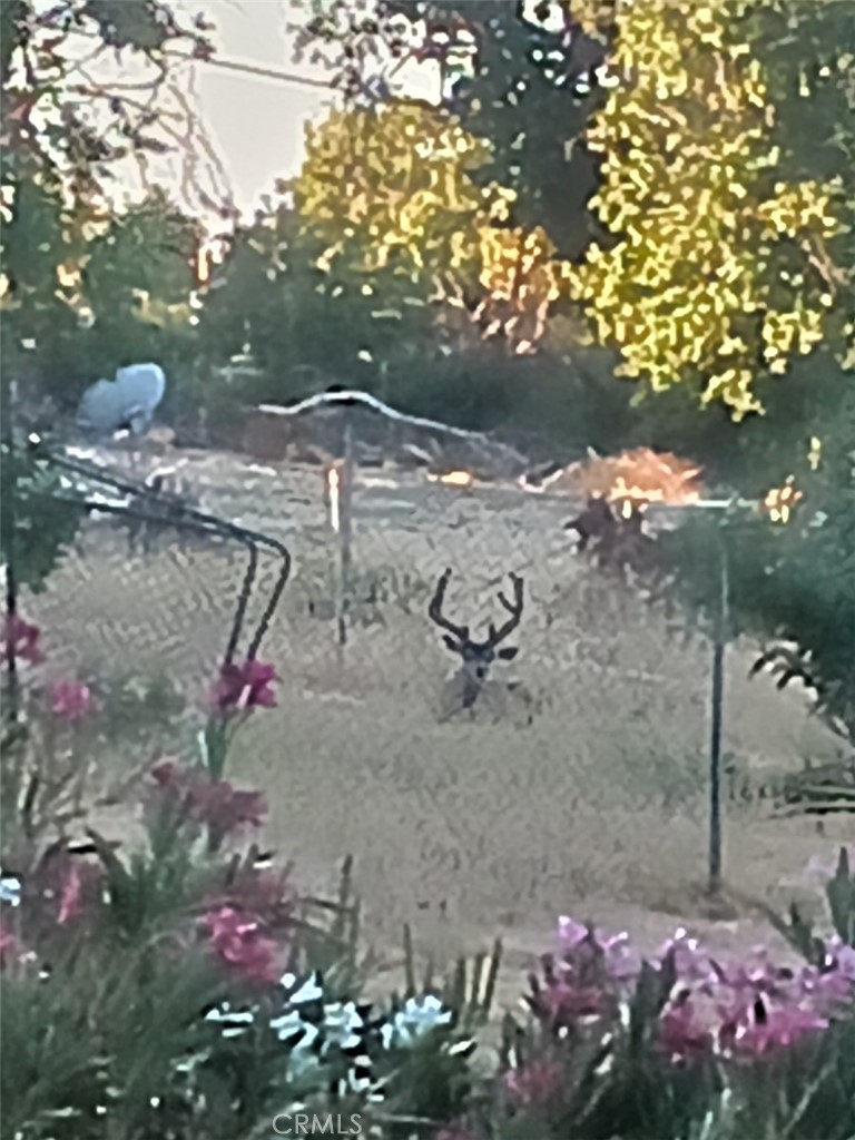 MLS #PA25227304 image #46