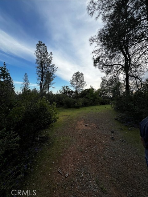 Detail Gallery Image 7 of 9 For 0 Donkey Mine Rd, Oak Run,  CA 96069 - – Beds | – Baths