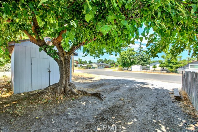 Detail Gallery Image 6 of 28 For 623 Almond, Corning,  CA 96021 - 3 Beds | 1 Baths