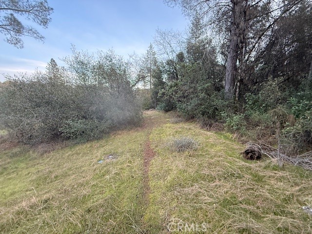 Detail Gallery Image 4 of 20 For 0 Rex Lane, Oroville,  CA 95966 - – Beds | – Baths