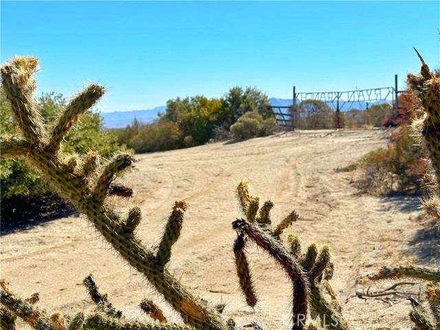 Detail Gallery Image 37 of 46 For 40 Acres via Oak Grove Ln, Ranchita,  CA 92066 - – Beds | – Baths