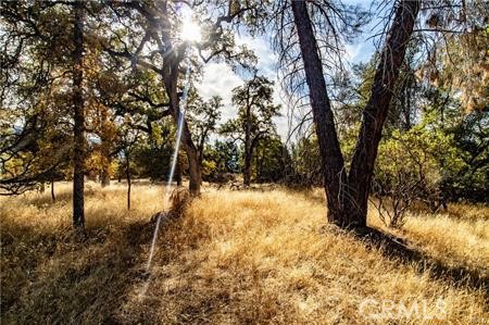 Detail Gallery Image 39 of 54 For 4816 Stumpfield Mountain Rd, Mariposa,  CA 95338 - 2 Beds | 2 Baths