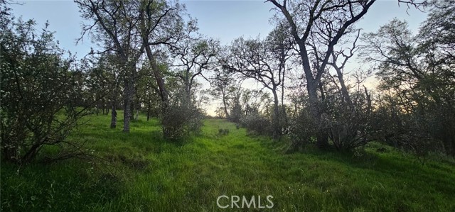 Detail Gallery Image 6 of 10 For 9145 Hunters Valley, Mariposa,  CA 95338 - – Beds | – Baths