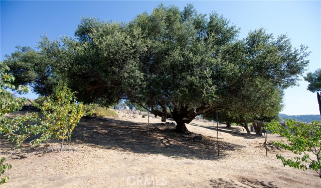 Detail Gallery Image 69 of 75 For 12145 Twin Springs Rd, Descanso,  CA 91916 - 4 Beds | 2 Baths