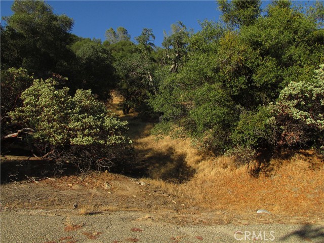 Detail Gallery Image 2 of 54 For 2 Ac Old Oaks Ct, North Fork,  CA 93643 - – Beds | – Baths