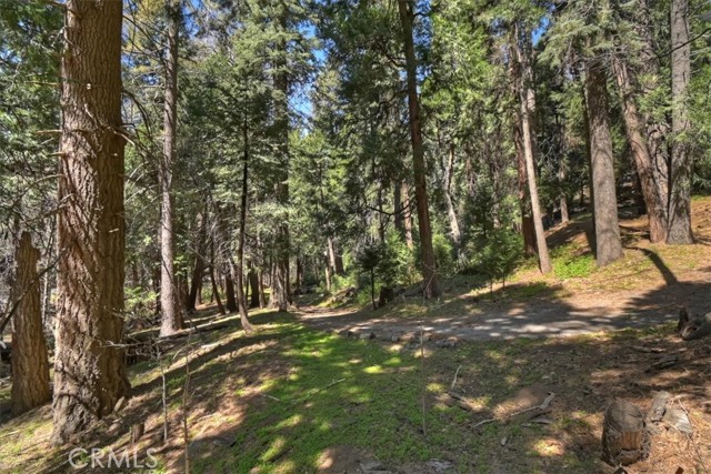 Detail Gallery Image 44 of 48 For 28730 Potomac, Lake Arrowhead,  CA 92352 - 3 Beds | 3 Baths