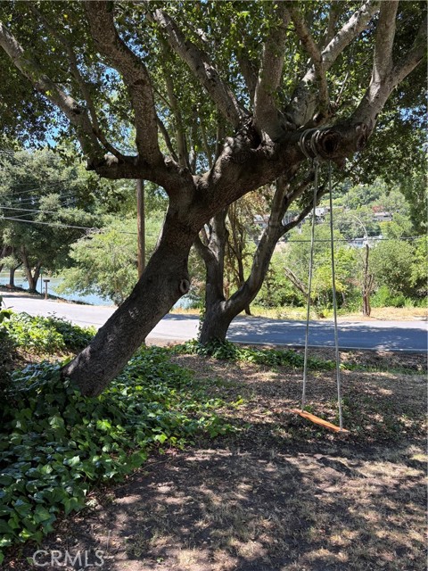 172 Camino Sobrante, Orinda CA: https://media.crmls.org/medias/599dc636-6c81-4910-9960-a8b5c202f14a.jpg