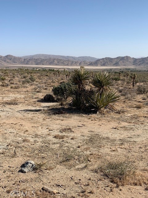 Lucerne Valley, CA 92356