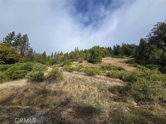 Detail Gallery Image 26 of 38 For 32120 Shimmins Ridge Rd, Willits,  CA 95490 - – Beds | – Baths