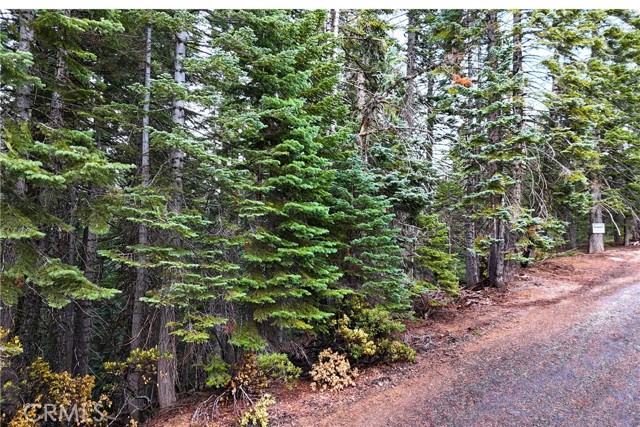 Detail Gallery Image 8 of 17 For 1100 Cleghorn Dr, Quincy,  CA 95971 - – Beds | – Baths