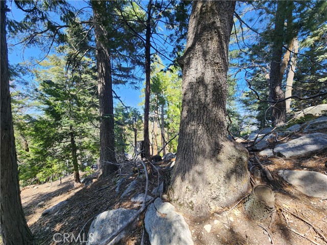 Detail Gallery Image 13 of 20 For 0 Pyramid Dr, Lake Arrowhead,  CA 92352 - – Beds | – Baths
