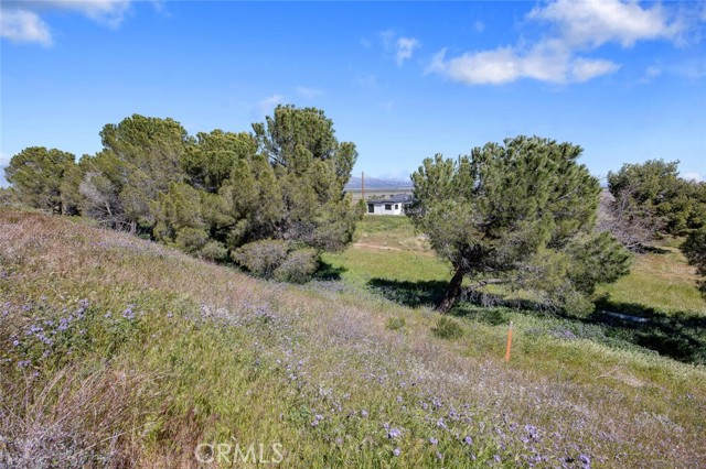 Detail Gallery Image 42 of 57 For 47721 222nd, Lancaster,  CA 93536 - 3 Beds | 2 Baths