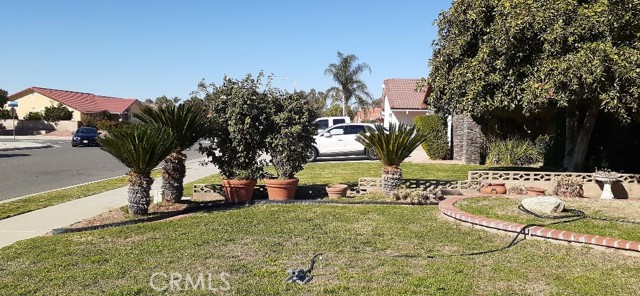 Detail Gallery Image 5 of 37 For 1484 Pepper Tree Dr, Hemet,  CA 92545 - 3 Beds | 2 Baths