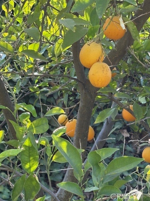 https://media.crmls.org/medias/59c677bd-8cc9-4aa3-8b19-56e1b16bf632.jpg?preset=X-Large