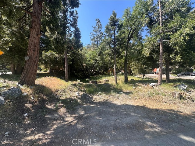 Forest Falls, CA 92339