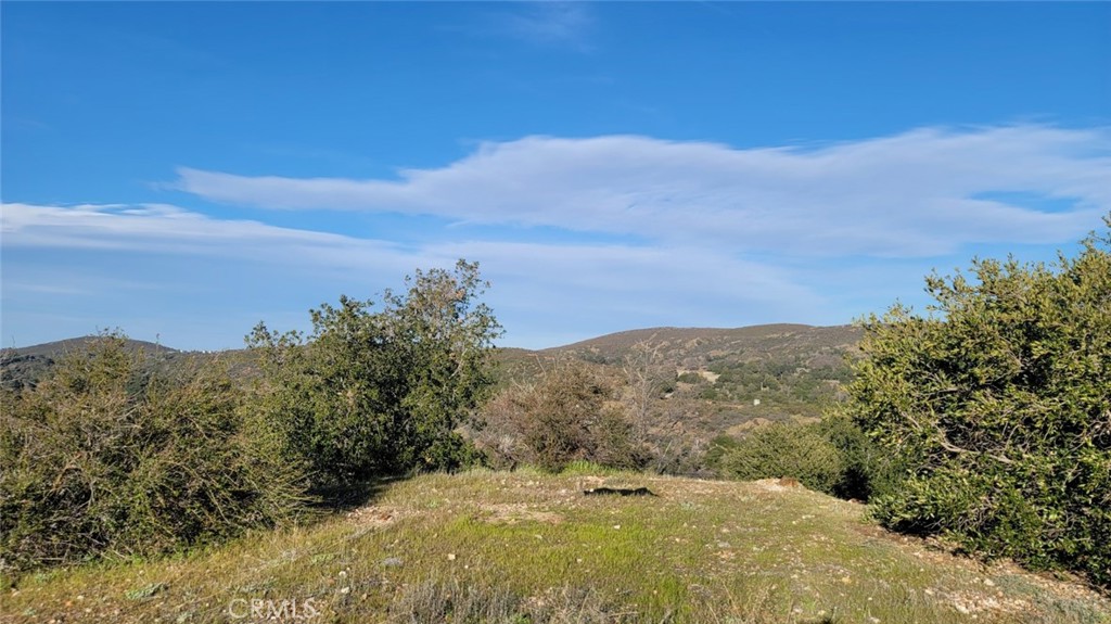 MLS #SW24069084 img 6