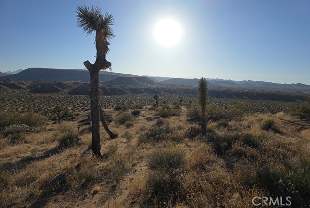 Detail Gallery Image 11 of 18 For 0 Long View, Yucca Valley,  CA 92284 - – Beds | – Baths