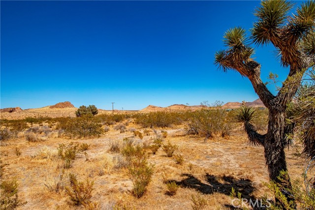  Land for Sale in Rosamond, California