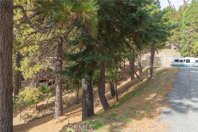 0 Circle View Drive, Running Springs, California 92382, ,Land,For Sale,0 Circle View Drive,CRRW23191615