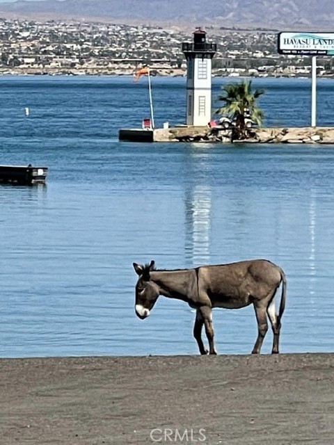 Detail Gallery Image 18 of 18 For 0 Lot 1 on Desert View, Needles,  CA 92363 - – Beds | – Baths