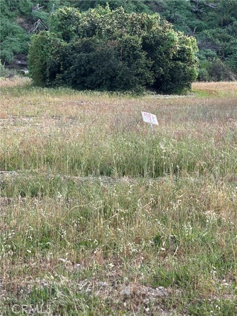 Detail Gallery Image 5 of 7 For 0 San Martinez Rd, Val Verde,  CA 91384 - – Beds | – Baths