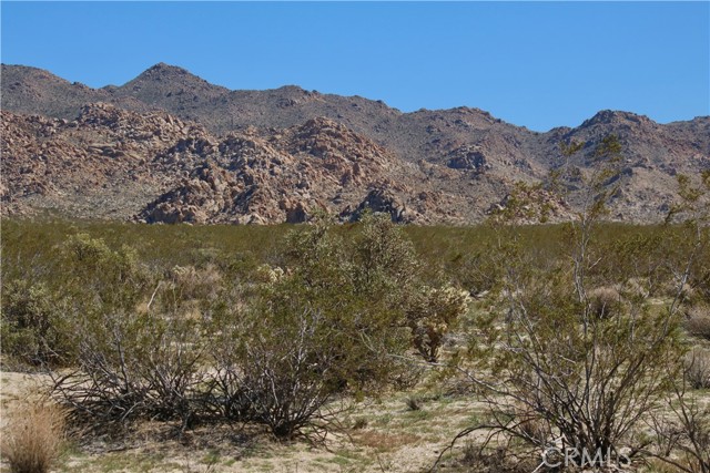 65600 Twentynine Palms, Joshua Tree, California 92252, ,Land,For Sale,65600 Twentynine Palms,CRJT22157936