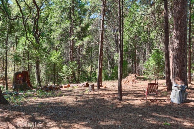 Detail Gallery Image 54 of 75 For 36555 Mudge Ranch Rd, Coarsegold,  CA 93614 - 3 Beds | 2 Baths