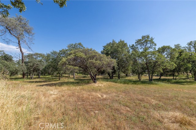 4372 Woodview Lane, Mariposa CA: https://media.crmls.org/medias/59efbab1-45fd-438d-81b4-16d927e7ec3f.jpg