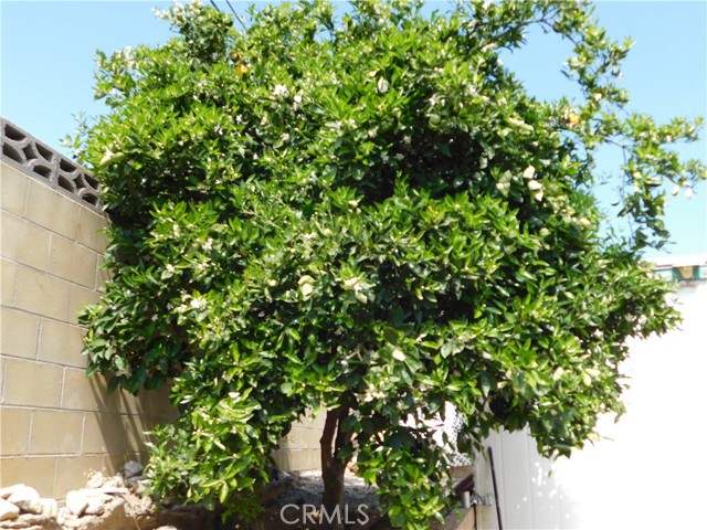 Detail Gallery Image 47 of 56 For 2200 W Wilson #82,  Banning,  CA 92220 - 3 Beds | 2 Baths