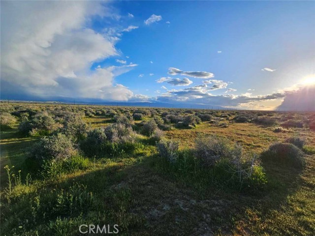 Detail Gallery Image 3 of 8 For 359 35931505005, Rosamond,  CA 93560 - – Beds | – Baths