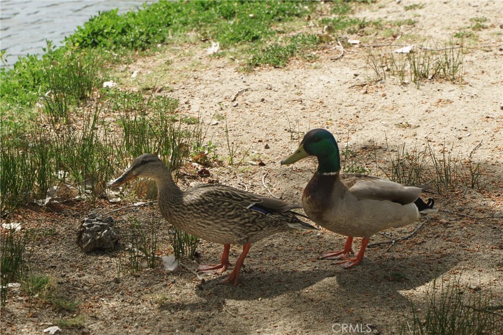 https://media.crmls.org/medias/59ff4ef4-527c-42a2-926e-b347738c1ba1.jpg?preset=X-Large