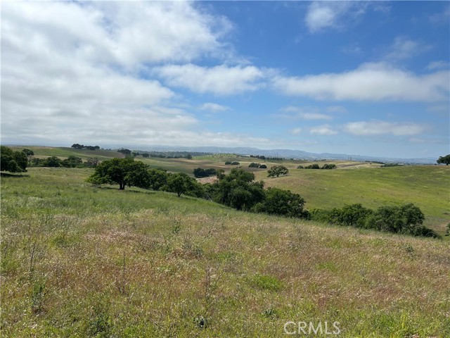 Detail Gallery Image 21 of 38 For 1975 Hidden Acre Ln, Paso Robles,  CA 93446 - 3 Beds | 2 Baths