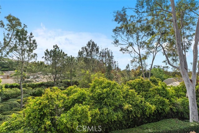 Detail Gallery Image 29 of 52 For 1 Rainbow Falls, Irvine,  CA 92603 - 4 Beds | 3 Baths