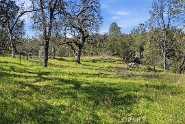 Detail Gallery Image 19 of 34 For 4251 Burl, Mariposa,  CA 95338 - – Beds | – Baths