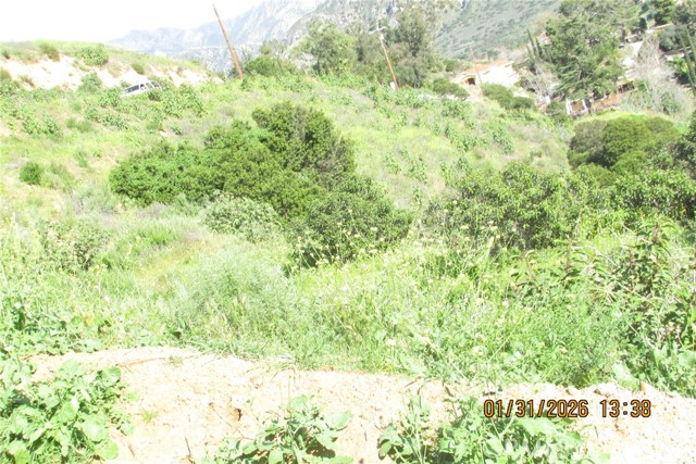 Detail Gallery Image 31 of 51 For 8001 Denivelle Rd., Sunland,  CA 91040 - – Beds | – Baths