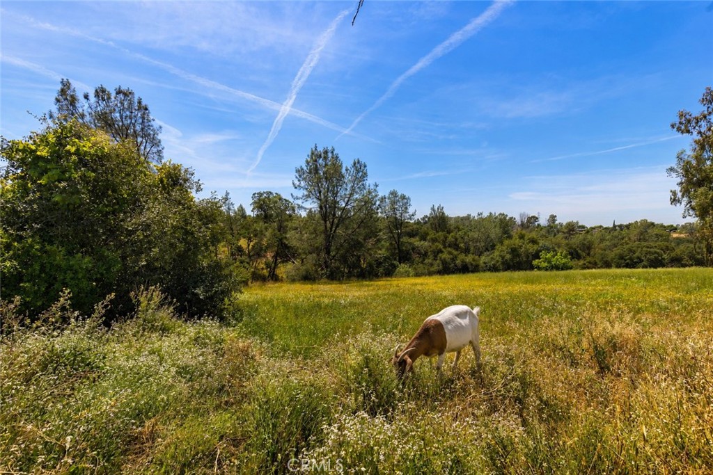 https://media.crmls.org/medias/5a2c8b0b-6467-463e-b091-bd466fe7c81f.jpg?preset=X-Large