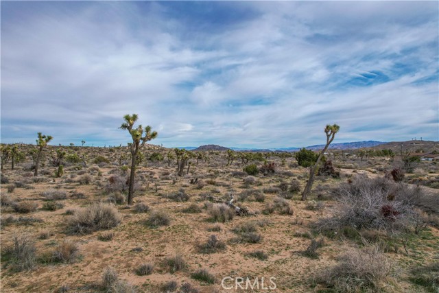 Detail Gallery Image 17 of 32 For 4824 Elata Ave, Yucca Valley,  CA 92284 - – Beds | – Baths