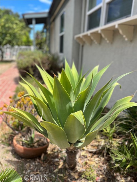 2 Bed Home for Sale in Sherman Oaks, California