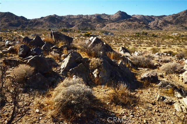 Detail Gallery Image 7 of 11 For 8675 Tortuga Trl, Joshua Tree,  CA 92252 - – Beds | – Baths